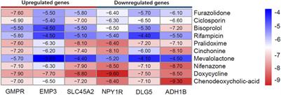 Identification of Potential Biomarkers and Small Molecule Drugs for Cutaneous Melanoma Using Integrated Bioinformatic Analysis